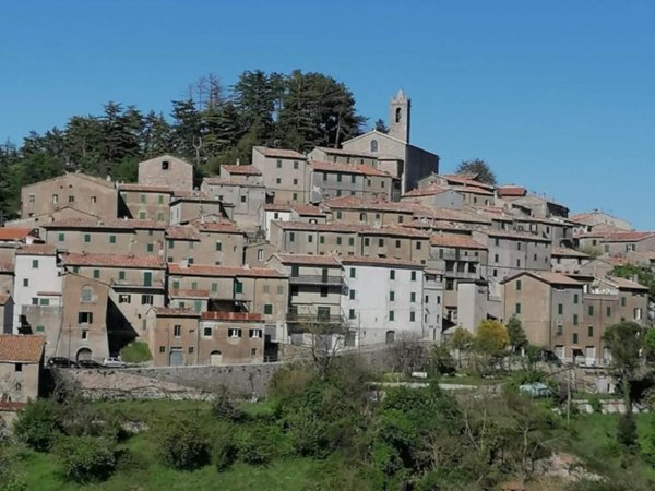 appartamento in vendita a Montieri in zona Gerfalco
