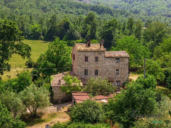 casa indipendente in vendita a Montieri in zona Travale