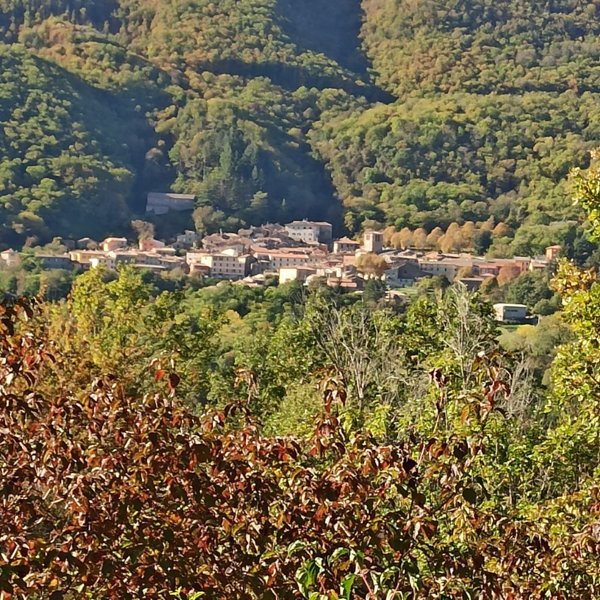 appartamento in vendita a Montieri