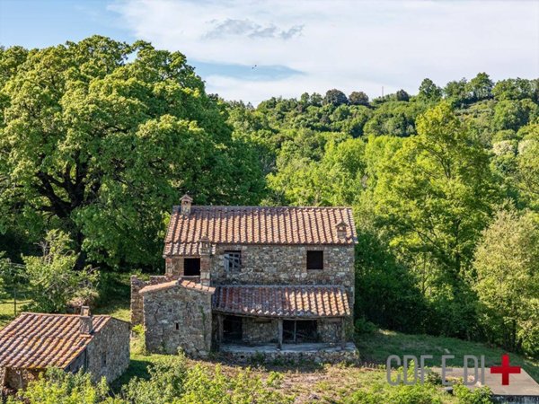 casa indipendente in vendita a Montieri