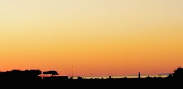 appartamento in vendita ad Orbetello in zona Albinia