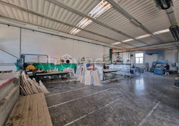 locale commerciale in vendita ad Orbetello in zona Albinia