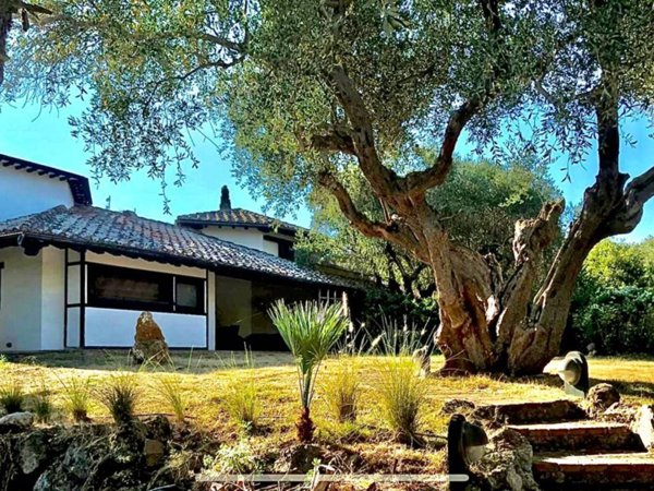 casa indipendente in vendita ad Orbetello in zona Ansedonia