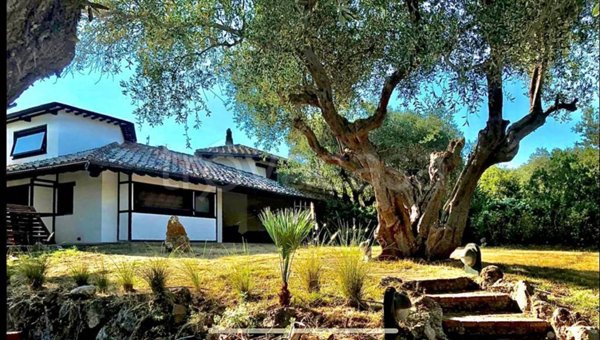 casa indipendente in vendita ad Orbetello in zona Ansedonia