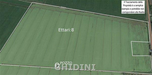 terreno agricolo in vendita ad Orbetello in zona Albinia