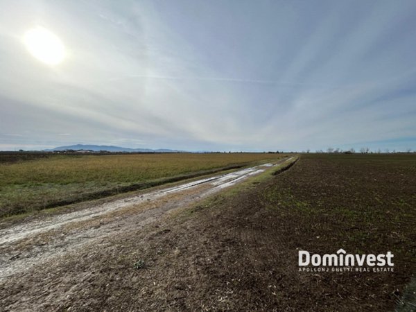 terreno agricolo in vendita ad Orbetello
