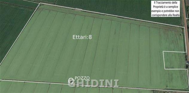 terreno agricolo in vendita ad Orbetello in zona Albinia