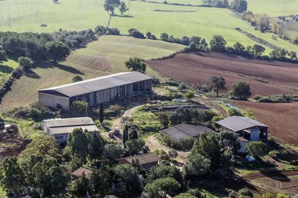 azienda agricola in vendita ad Orbetello in zona Talamone