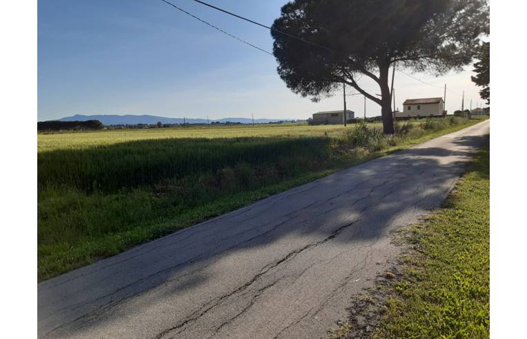 terreno agricolo in vendita ad Orbetello in zona Albinia