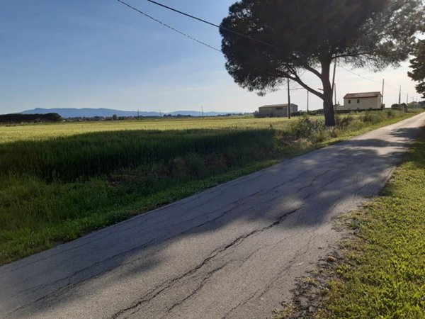 terreno agricolo in vendita ad Orbetello in zona Albinia