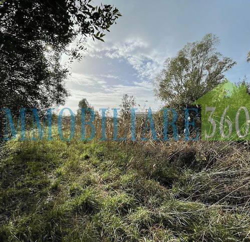 terreno agricolo in vendita ad Orbetello