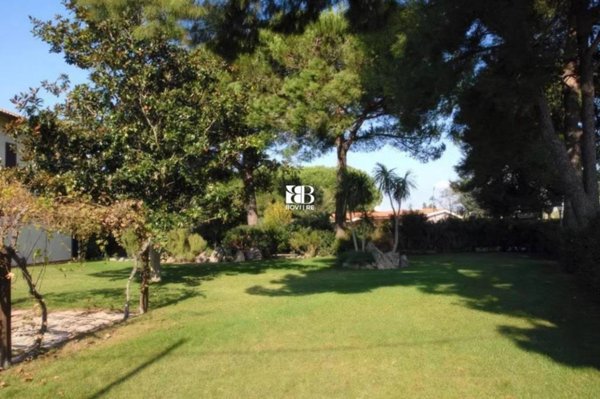 negozio in vendita ad Orbetello