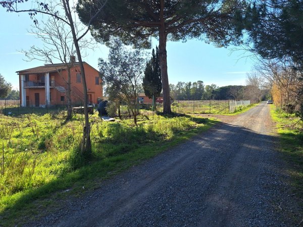casa indipendente in vendita ad Orbetello in zona Giannella