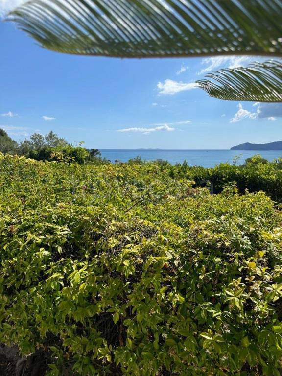 casa indipendente in vendita ad Orbetello in zona Ansedonia