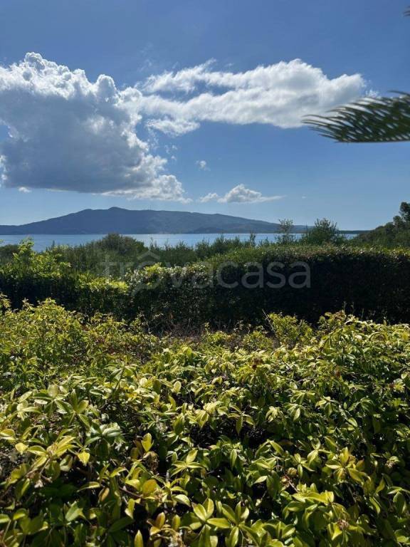 casa indipendente in vendita ad Orbetello in zona Ansedonia