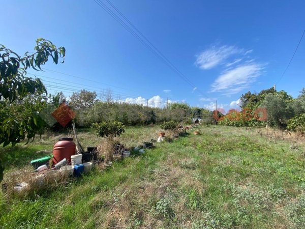 terreno agricolo in vendita ad Orbetello in zona Ansedonia