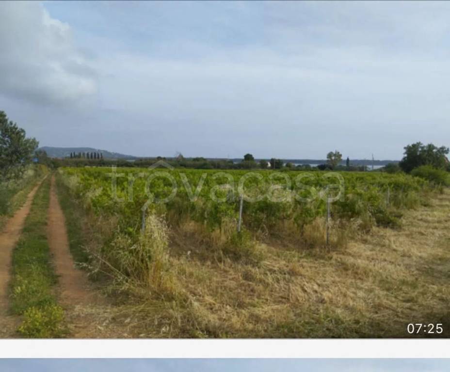 terreno agricolo in vendita ad Orbetello