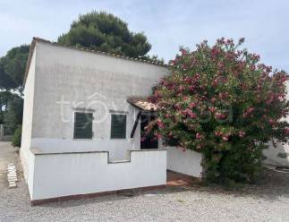 casa indipendente in vendita ad Orbetello in zona Giannella
