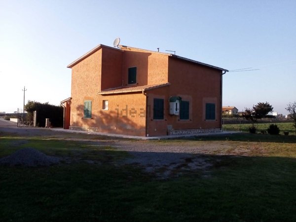 esavano in vendita ad Orbetello in zona Albinia