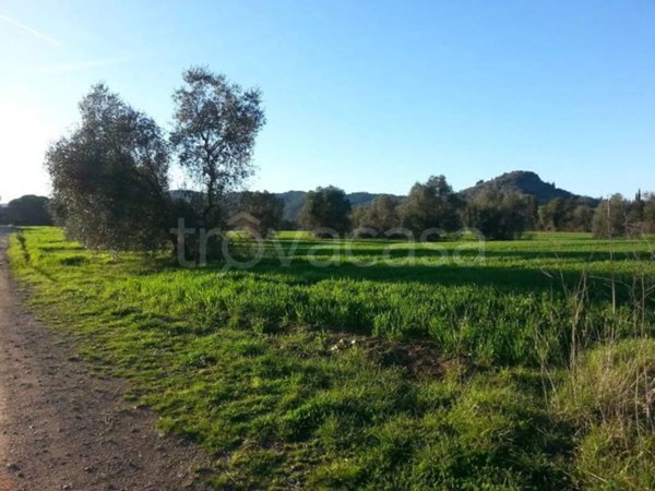 terreno agricolo in vendita ad Orbetello in zona Albinia