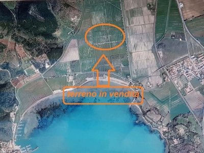terreno agricolo in vendita ad Orbetello in zona Talamone