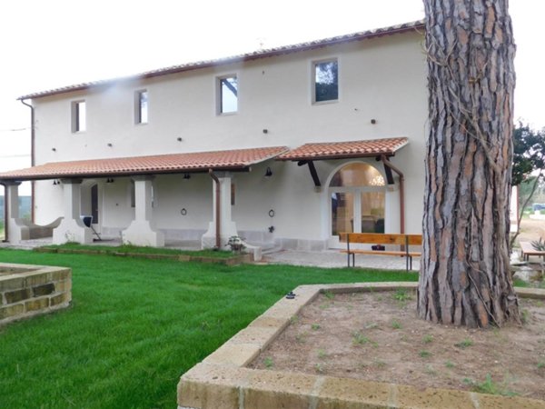 negozio in vendita ad Orbetello