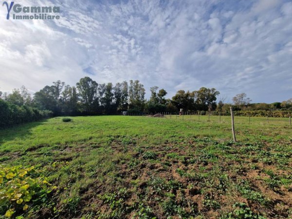 terreno agricolo in vendita ad Orbetello