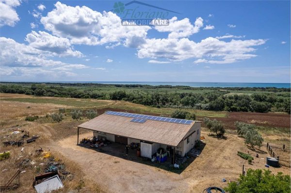 pentavano in vendita ad Orbetello in zona Ansedonia