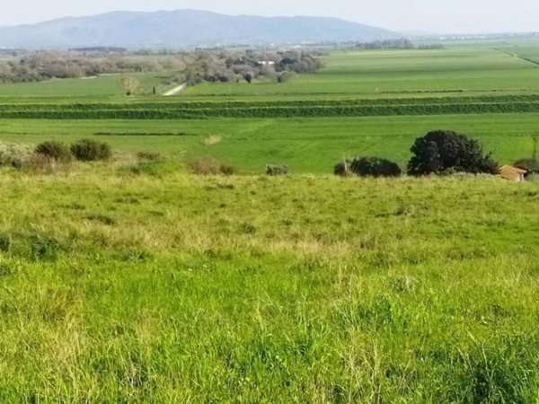 terreno agricolo in vendita ad Orbetello in zona Fonteblanda