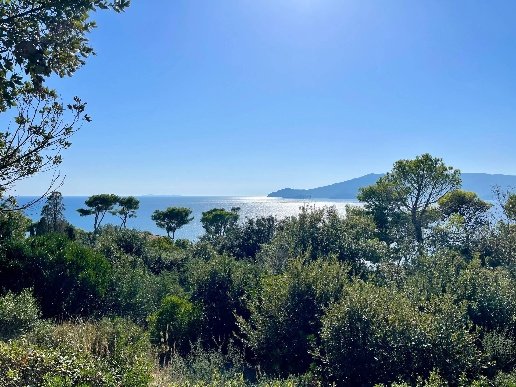 casa indipendente in vendita ad Orbetello in zona Ansedonia