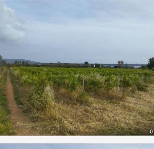 terreno agricolo in vendita ad Orbetello