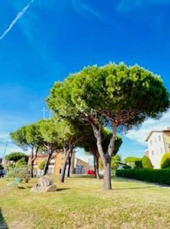 appartamento in vendita ad Orbetello in zona Albinia