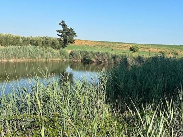 appartamento in vendita ad Orbetello