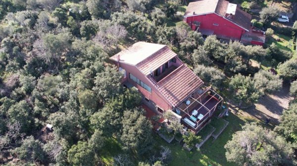 casa indipendente in vendita ad Orbetello in zona Ansedonia