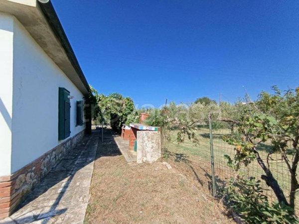 casa indipendente in vendita ad Orbetello in zona Albinia
