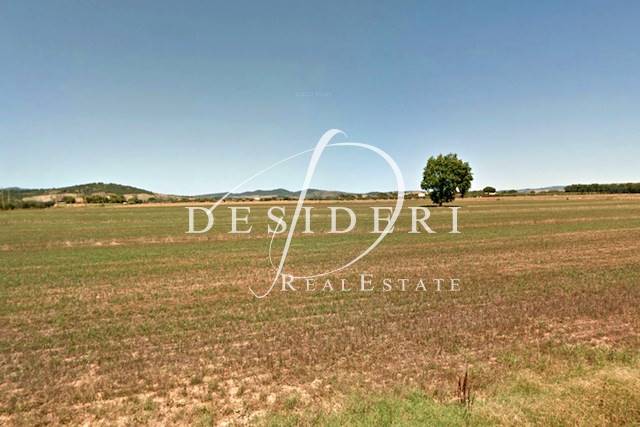 terreno agricolo in vendita ad Orbetello in zona Fonteblanda