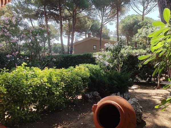 appartamento in vendita ad Orbetello in zona Giannella