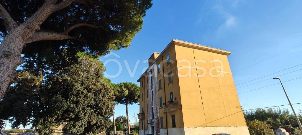appartamento in vendita ad Orbetello in zona Ansedonia