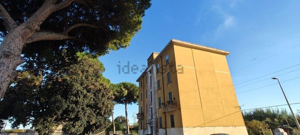 appartamento in vendita ad Orbetello in zona Ansedonia