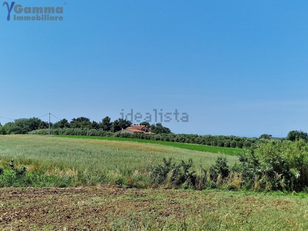 casa indipendente in vendita ad Orbetello in zona Albinia