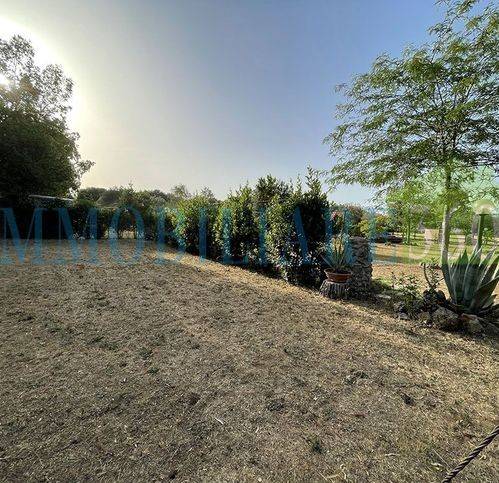 terreno agricolo in vendita ad Orbetello in zona Giannella