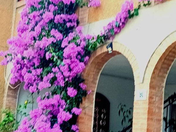 appartamento in vendita ad Orbetello in zona Fonteblanda