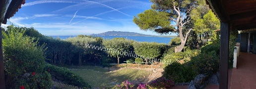 appartamento in vendita ad Orbetello in zona Ansedonia