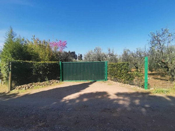terreno agricolo in vendita ad Orbetello