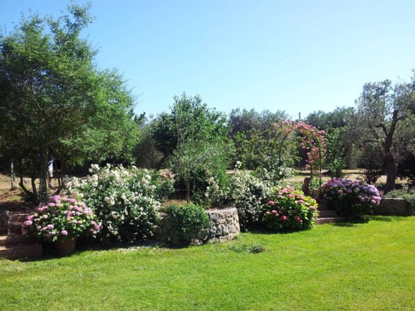 casa indipendente in vendita ad Orbetello