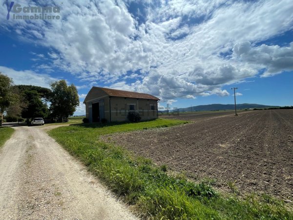 azienda agricola in vendita ad Orbetello