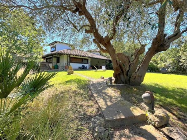 casa indipendente in vendita ad Orbetello in zona Ansedonia