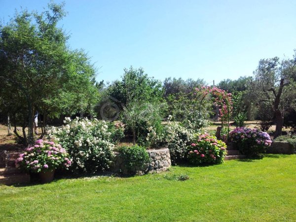 casa indipendente in vendita ad Orbetello in zona Albinia