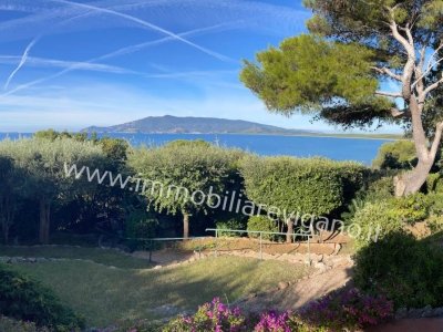 appartamento in vendita ad Orbetello in zona Ansedonia