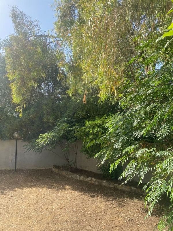 appartamento in vendita ad Orbetello in zona Fonteblanda